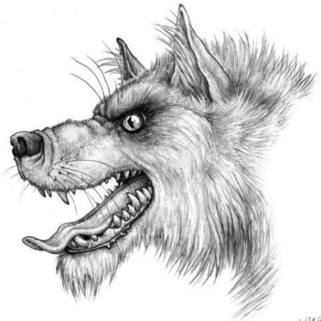 Github Pyre540 Tinkers Levelling Addon Tinkers Construct Addon That - Geometric Patterns - Elegant High Resolution Collection