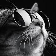 Luke Hardy - Modern 4K Ocean Pictures | Free Download