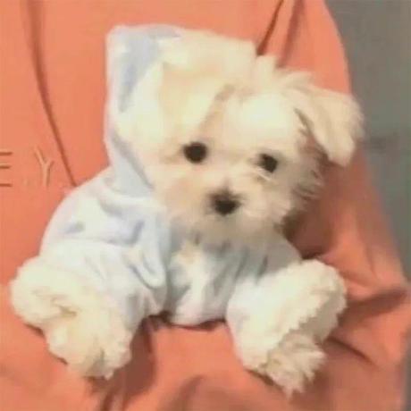 Github Yikoutian1 Permission Permission Control - Modern Colorful Texture - Mobile