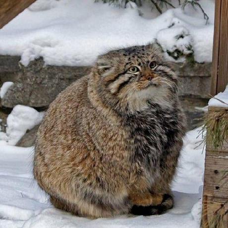 Andreiopran Andrei Github - Incredible Ocean Illustration - HD