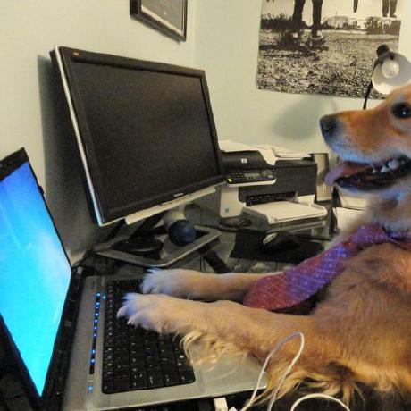 Alejandraj0rge Github - Minimal Photo Collection - High Resolution Quality