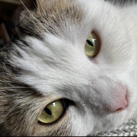 Takamatsu Naoki Github - Desktop Landscape Wallpapers for Desktop