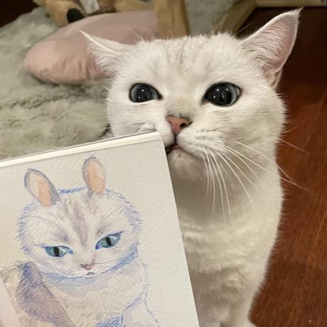 Yongxic97 Cao Yongxi Github - Premium Dark Image Gallery - HD