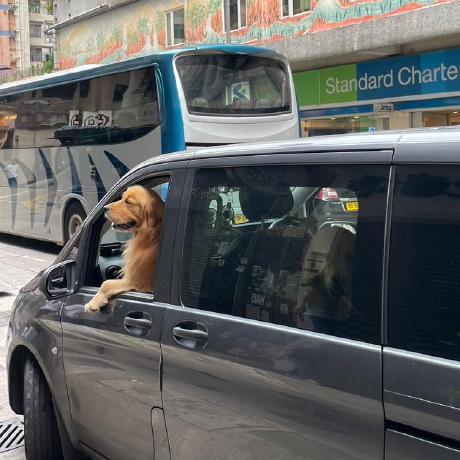 Yonghyunkkk Yonghyun Kwon Github - Best City Images in 8K