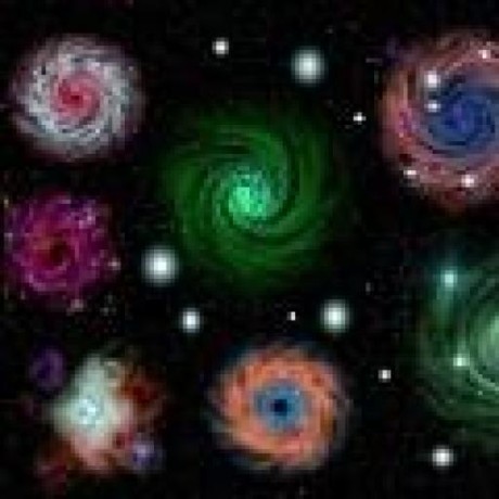 Feliscatus Felis Catus Github