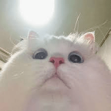 Idkhidden Idkhidden Github - Elegant Full HD Geometric Arts | Free Download