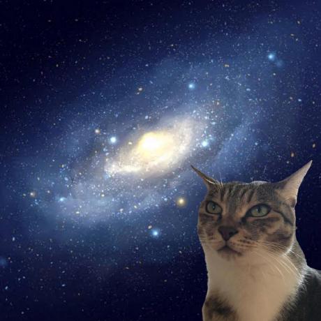 Koizumi Github - Modern Desktop Ocean Pictures | Free Download