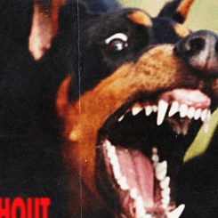 Rux Kernel Github Topics Github - Download Incredible Landscape Texture | Mobile