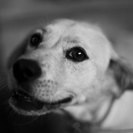 Iankwon Nsuslab Github - Download Gorgeous City Art | Ultra HD