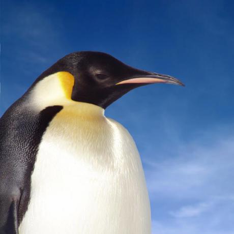 Oleandresen Ole Github - Abstract Picture Collection - 4K Quality