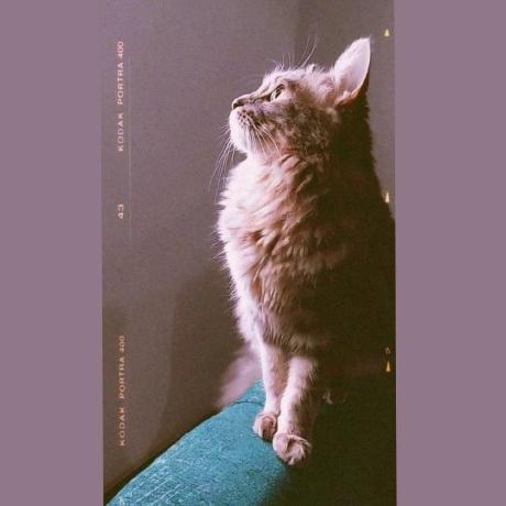 Menna550 Menna Gamal Github - Ocean Backgrounds - Creative HD Collection