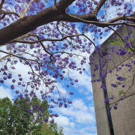 Github Tarushig Full Stack E Commerce Website Under Construction - Minimal Background Collection - HD Quality