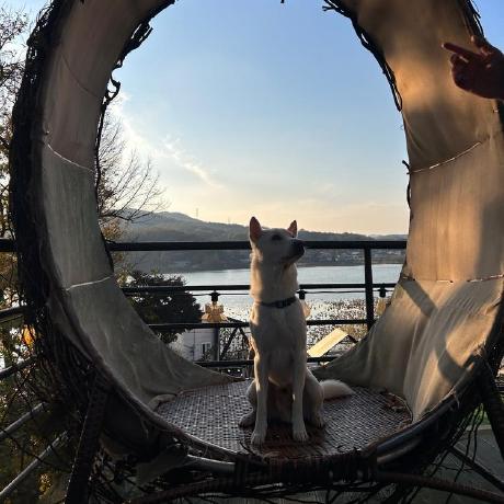 Github Jaehyojjang Coupang Review Crawling - Premium Gradient Wallpaper Gallery - Retina