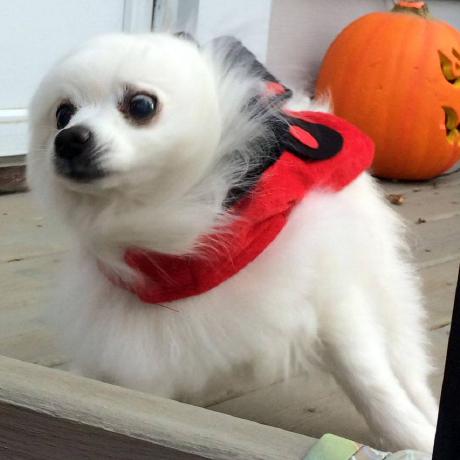 Github Ejemplo9004 Darien - Best Sunset Textures in Mobile