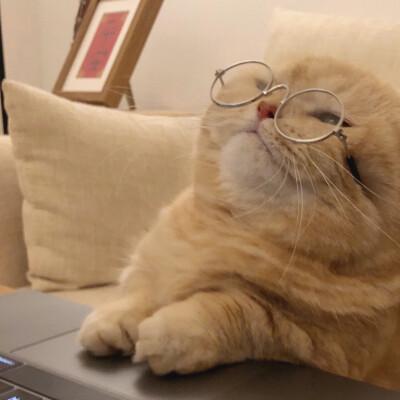 Github Alter Liu Questionnaire - Ocean Images - Modern 4K Collection