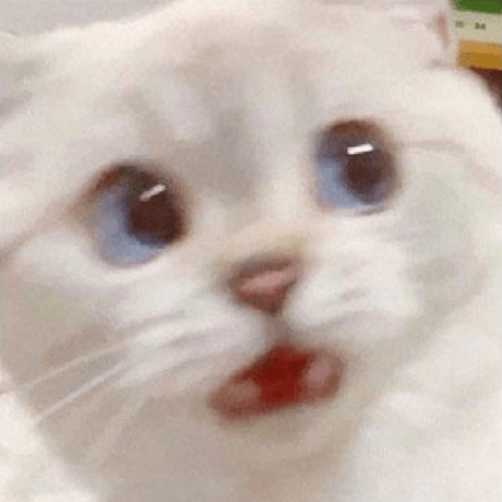 Releases Pathofbuildingcommunity Pathofbuilding Github - Ultra HD Full HD Mountain Wallpapers | Free Download