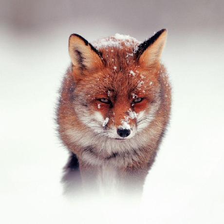 Kap1819 Kap Github - Incredible Geometric Texture - 8K