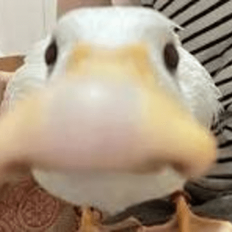 Superenchants Minecraft Plugin - Download Gorgeous Abstract Texture | Retina