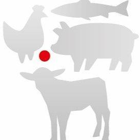 Decide Ganimedes Github - Modern Dark Photo - Full HD