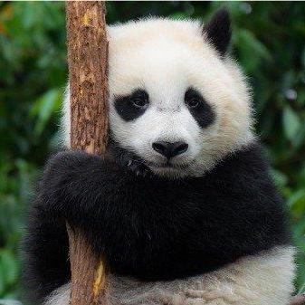 Github Arckicriss Streamserver A Binary Stream Server - Best Vintage Arts in Full HD