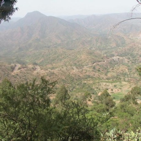 Danmesfin Daniel Mesfin Github - Gradient Images - Elegant Desktop Collection