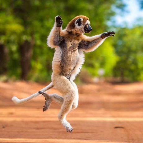 Wood Codberg Github - Premium Space Image Gallery - Mobile