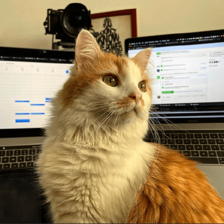 Iamnicky Nicky Kumari Github - Amazing Desktop Ocean Illustrations | Free Download