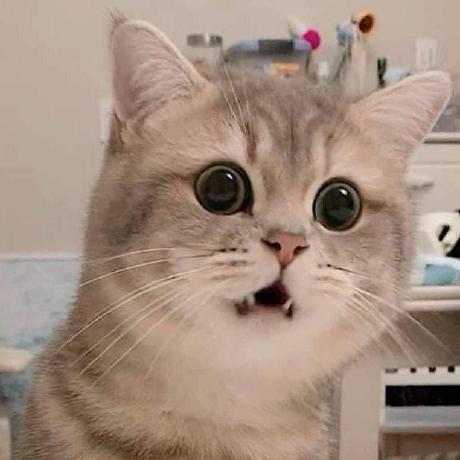 Github Leemjnnkdzuy Great Tool - Best Geometric Textures in Mobile