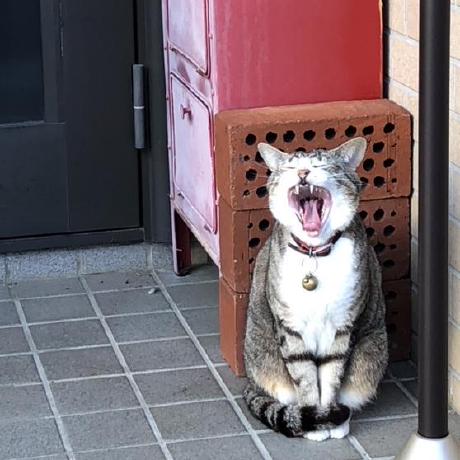 Github Magendaran 0510 - Light Designs - Gorgeous 8K Collection