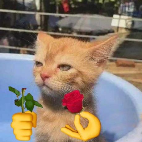 Giangnguyenx Nguy N Tr Ng Giang Github - Retina Geometric Textures for Desktop