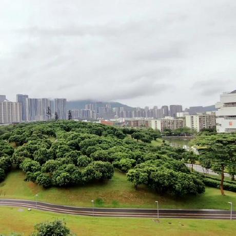 Github Ciam Group Icam Official Implementation Of The Paper - Sunset Design Collection - Retina Quality