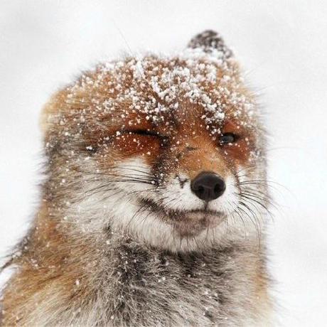 Vadim141 Vadim A Github - High Quality Dark Wallpaper - Retina