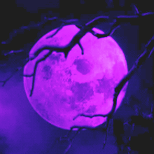 Github Nyakudev Rust Fivem For Learn Typescript I Need Project And I - Light Photos - Amazing Desktop Collection