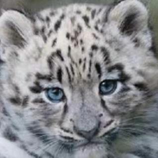 Github Robot10235 Springboot Notes - City Picture Collection - 4K Quality