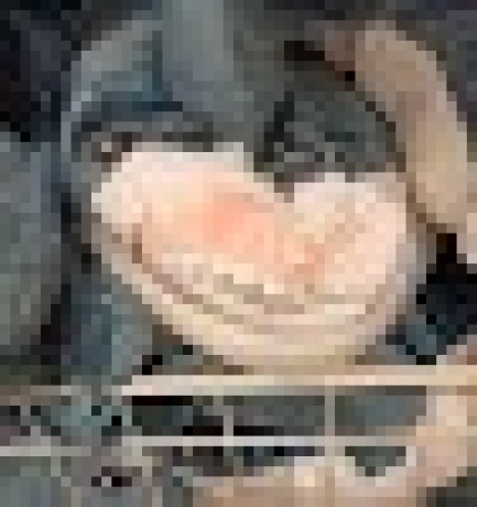 Github Goncailaslan Brownie - Best Mountain Pictures in 4K