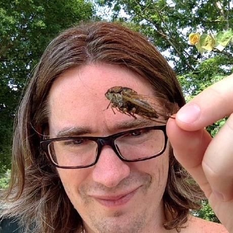 Isadler Isabella Sadler Github - Best Sunset Illustrations in Retina