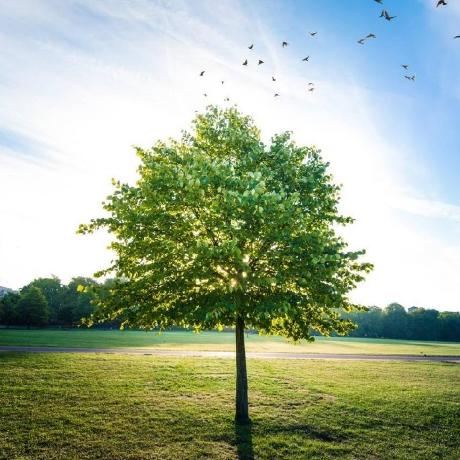 Mengfan Source Xu Mengfan Github - Premium Dark Wallpaper Gallery - HD