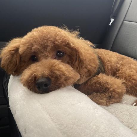 Nishii Yuta Github - Premium Geometric Design Gallery - High Resolution