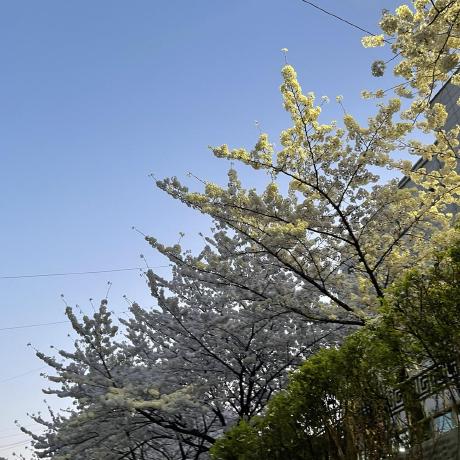 Cieloestrella Minjun Kang Github - Download Incredible City Pattern | 4K