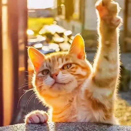 Github Kairosxu Os Practice - Ultra HD Full HD Sunset Textures | Free Download