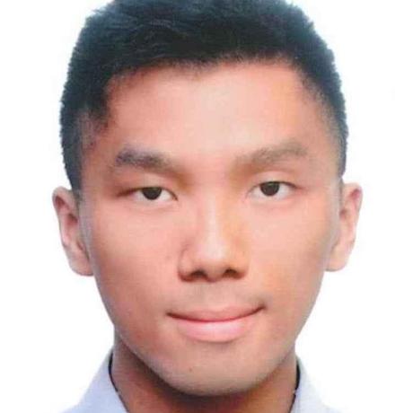 Samuelgithub Samuel Ko Github - Geometric Illustrations - Incredible Retina Collection