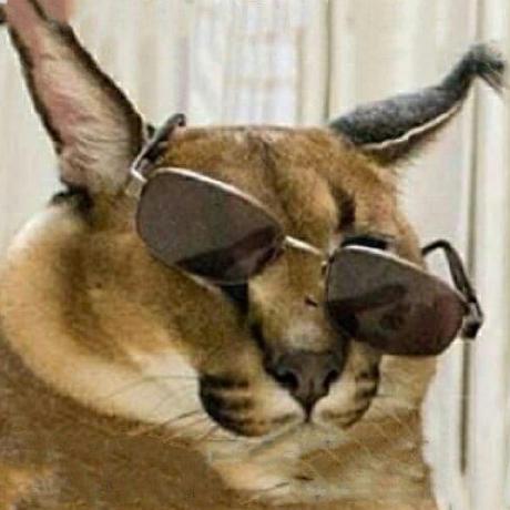 Imperator Shlepa Imperator Shlepa Github - Sunset Photos - Perfect Mobile Collection