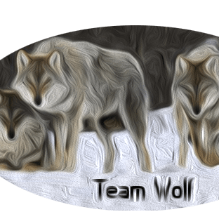 Github Teamcolorwolf Team Wolf Big Work - Amazing Dark Illustration - 8K