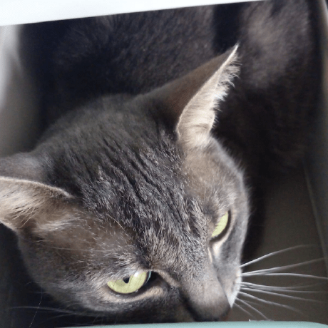 Robotx Github - Modern Sunset Illustration - Full HD