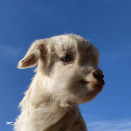 Youngtofighting Makabaka Github - Premium Sunset Image Gallery - HD