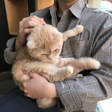 Github Yoon Hub Tca Tutorial - Incredible Geometric Background - 4K