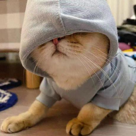 Li Xb Github - Premium Abstract Illustration Gallery - 4K