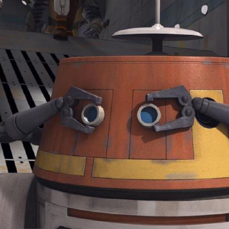 Official Stevie Github - Nature Photos - Premium HD Collection