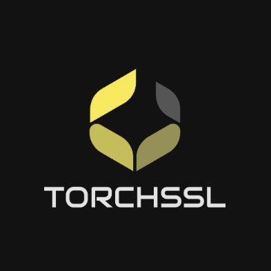 Torchssl Github - Artistic Geometric Design - HD