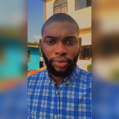 Francis Okorie Creative Frontend Developer - City Design Collection - 4K Quality